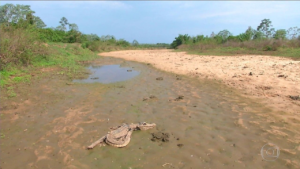 secas-e-cheias-03-300x169 Área alagada do Pantanal cai 39% em 5 anos, diz estudo