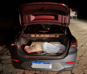 WhatsApp-Image-2025-10-22-at-08.57.06-1-300x256 Forças de segurança apreendem 103 quilos de drogas e causam prejuízo de R$ 1,5 milhão às facções criminosas